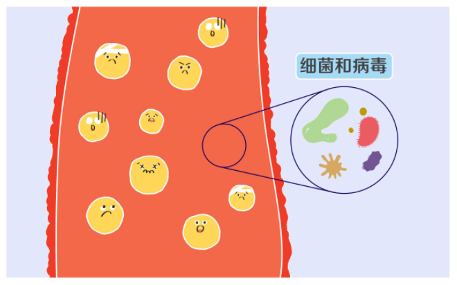 5634f9c76fe7ce09c91c1059037a289b.png 5634f9c76fe7ce09c91c1059037a289b.png